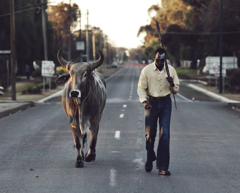 Grey Bull — Short Film
